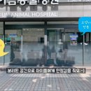 서초이음동물병원 이미지