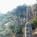 동백쉐이리 이미지