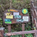 뜬봉샘 생태길 이미지