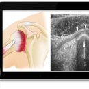 연세훈정형외과의원 이미지