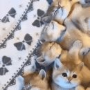 서울드림약국 이미지