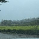 다원월드 이미지