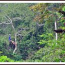 블루라군 이미지