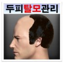 익산탈모 예방 / 의학적 두피관리 이미지