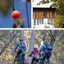 이동백 소리길 이미지