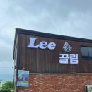 인천 강화도 논밭뷰 카페 :: Lee끌림 이끌림 후기(애견동반가능🐶)