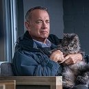 A Man Called Otto 이미지