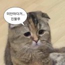 감천우체국 앞 교통섬 내 | 원위가 부산에 온다니