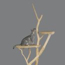 투자부동산중개사무소 이미지