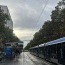 백조군장 | [파리] 베르사유 정원 / 뤽상부르 공원 / Maison Park 레스토랑 / 파리 야경 즐기기 (루브르, 퐁뇌프)