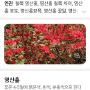 평택호 관광단지4 | 평택호 관광단지 산책(4월20일)