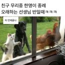 친구 무리 중 한명이 종례 오래하는 선생님 반일 때 이미지