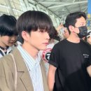 꼼지 이미지