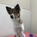 러브몽먼트 이미지