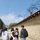 함께하는공부 | 창덕궁, 창경궁 서울대생 멘토와 함께하는 궁투어 초등학생 한국사공부 솔직후기