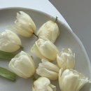 용산-242 | 서울 용산 부케말리기, 튤립부케의 클레르 액자 제작 후기