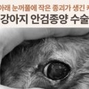 애니컴 메디컬센터 이미지