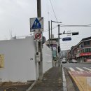 사모의집 | 강서구 사모님 짬뽕 평일 점심 후기 내돈내산