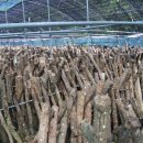 이강석농장 이미지