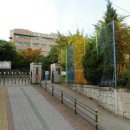 솔개초등학교 이미지