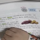 초등 3학년 국어 독해력이 중요한 이유와 추천 교재 자이스토리 쑥쑥 내돈내산 후기