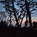 하리 공중화장실 | 낙산사 템플스테이 후기 2, 동해 일출, 해수관음상 보러 가자!