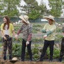 조준호농장 이미지