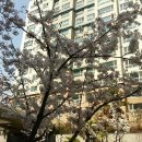 강촌꽃게찜 이미지