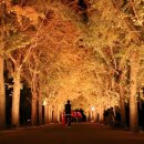 (주)은행나무 이미지