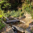 소보리애 이미지