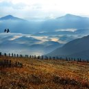 현대카도크 이미지