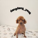 따봉 - 서구 달서천로57길 46-1 | 따봉