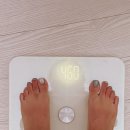 웰빙선식엔견과 | 윌빈 완두단백 미숫가루맛(WILLBEAN) : 고소하고 맛있는 프로틴미숫가루 곡물쉐이크선식!