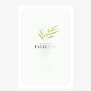 캘리그라피 붓펜반 이미지