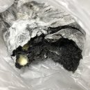 블랑제리보네르2