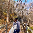 사인암좋은날민박 | 모락산·사인암·국기봉 등산코스 후기