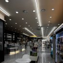 개린이집 강아지분양 고양이분양 전주본점 이미지