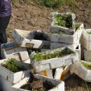 천변경로당 이미지