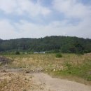 용지부자부동산공인중개사사무소 이미지