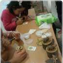 롯데백화점 동래점 문화센터 나무곤충만들기 이미지