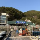 태풍이네 | 통영 선외기 고민 끝, 전용 어장 있는 태풍레저 솔직후기