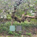 우산공원길 이미지