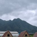 거창허브빌리지 | [거창 가볼 만한 곳] 보랏빛 라벤더 물결과 힐링 가득! 거창허브빌리지 방문기 (향기주머니 & 족욕 체험)