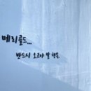 종달차경(메리골드) 이미지