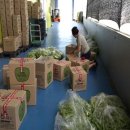 향숙농장 이미지