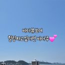 바다주 - 창원시 의창구 | 당진 왜목마을카페_ 바다주 오션뷰 애견동반 가능한 커피&타르트 맛집