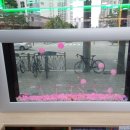 강남중앙약국 이미지