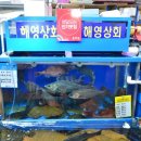 심쿵상회 이미지