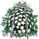 서구-02-91 이미지