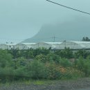 용머리큰길 이미지